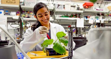 Christopher Jaap Endowed Scholarship