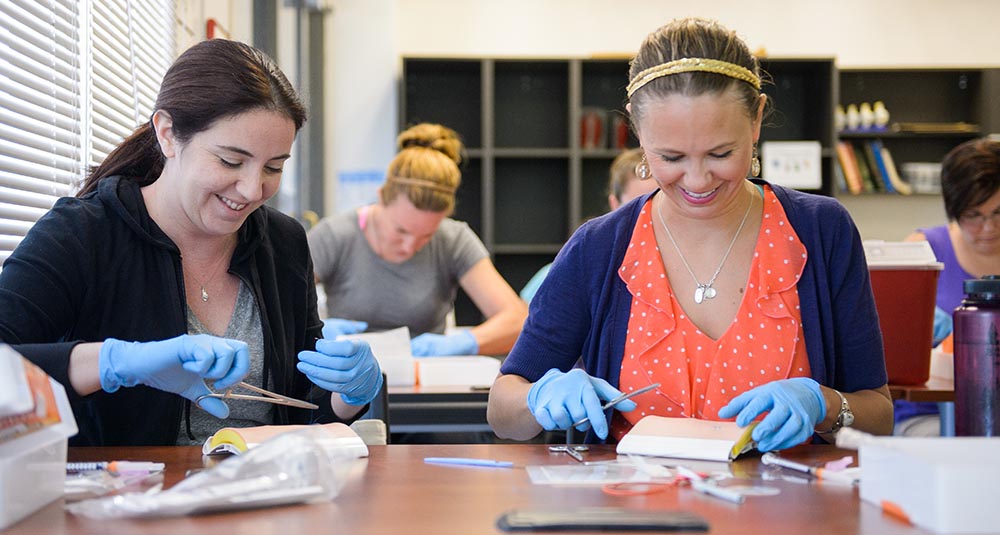 Health Entrepreneurship Accelerator Fund