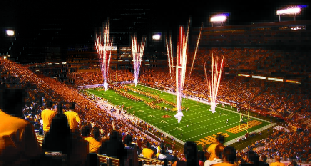 Joseph C. Palais Distinguished Faculty Scholar Award