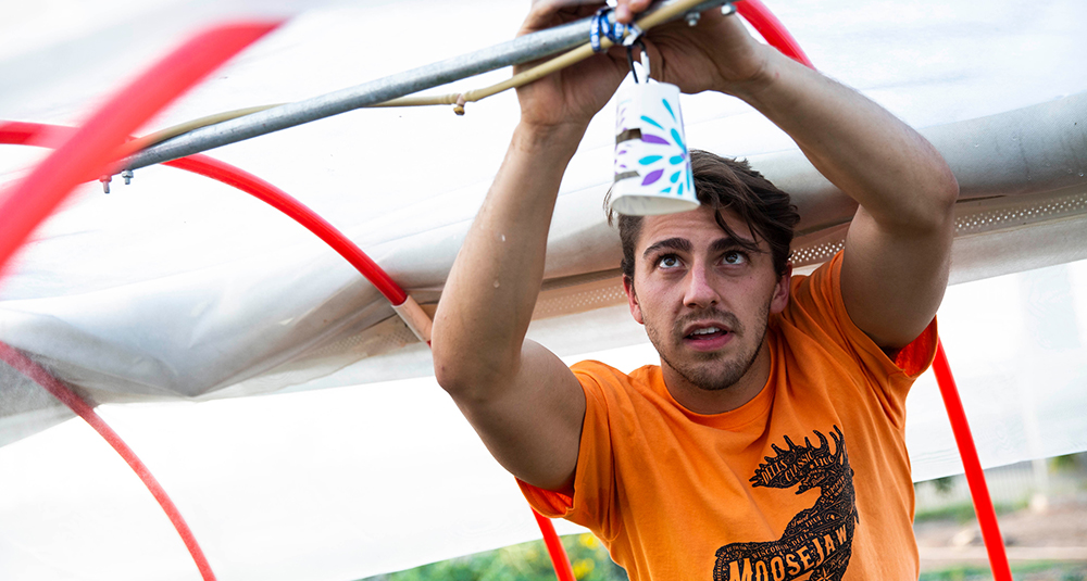 Student Undergraduate Research Experience