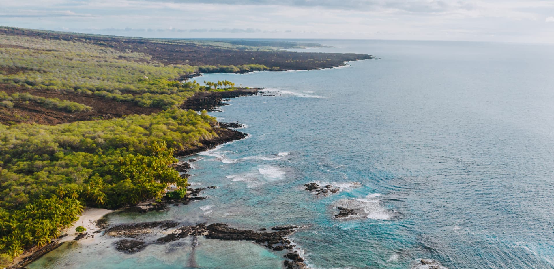 Āko'ako'a Reef Restoration Program