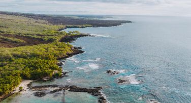 Āko'ako'a Reef Restoration Program