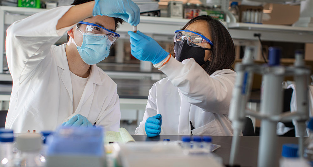 College of Health Solutions General Scholarship Fund