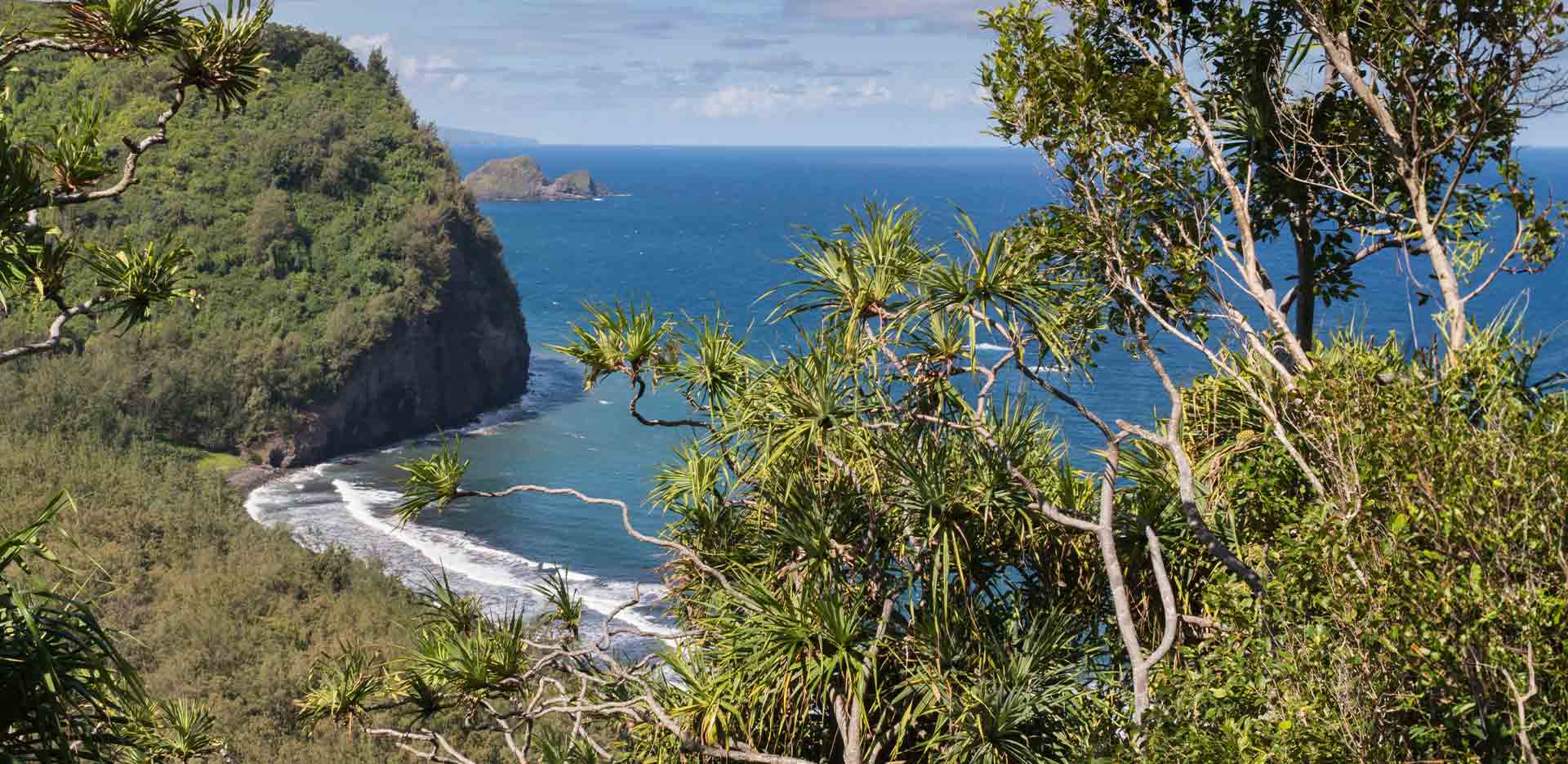 Hawai'i Partnerships/Projects