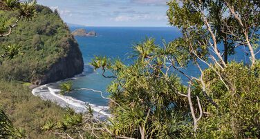 Hawai'i Partnerships/Projects