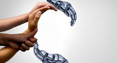 Information Systems Quasi Endowment