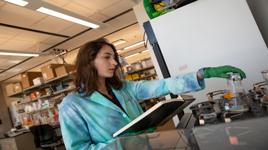 SBHSE Scholarships/Fellowships