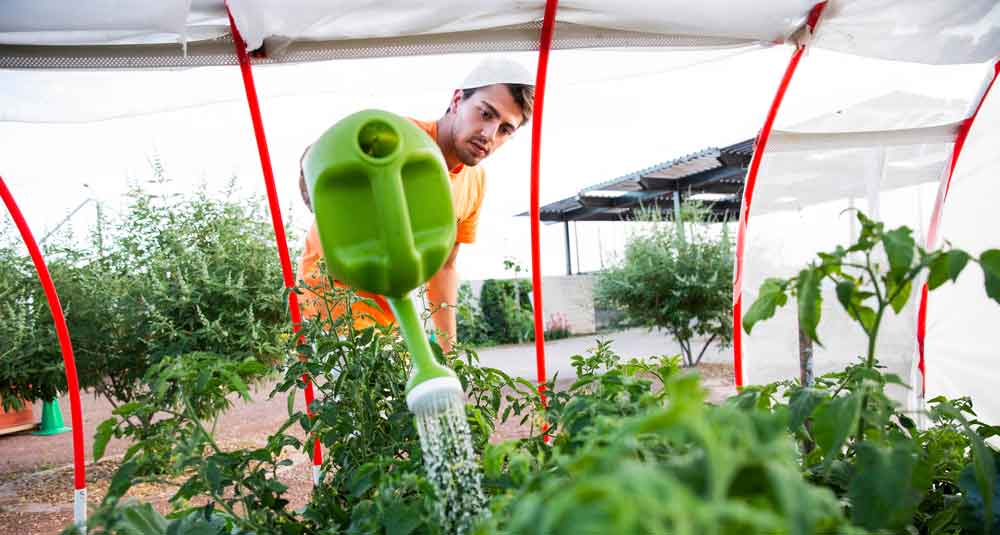 The Opportunity Fund at the School of Sustainability