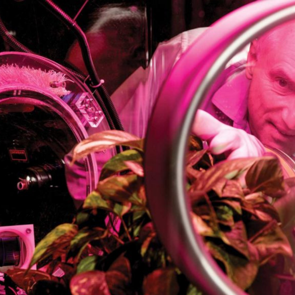 Center for Negative Carbon Emissions